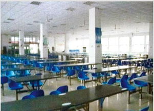 河南微笑餐飲管理公司閃耀中國食品春晚，榮膺優秀品牌彰顯卓越管理